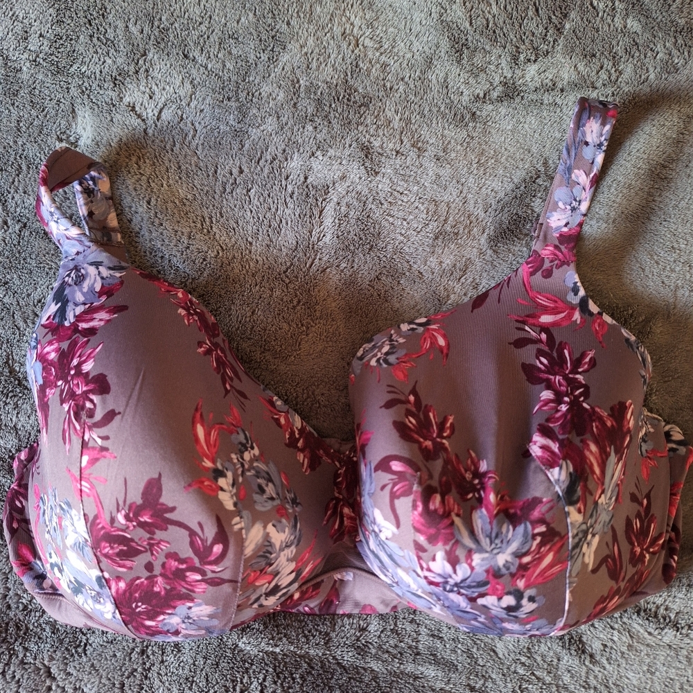 Cacique Layne Bryant Bra
